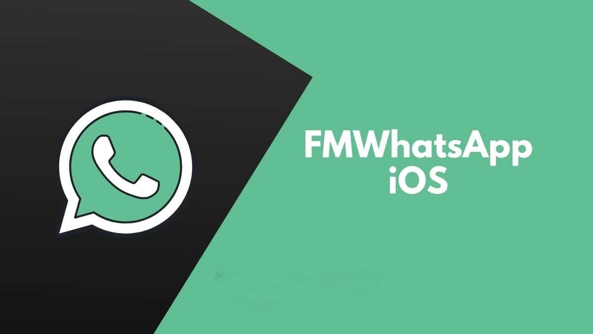 FM WhatsApp (FMWA) Mod Apk Link Download Terbaru 2023